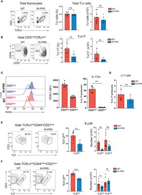 Mutation of the Polyproline Sequence in CD3ε Evidences TCR Signaling Requirements for Differentiation and Function of Pro-Inflammatory Tγδ17 Cells